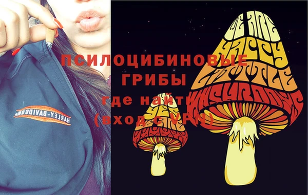 героин Новодвинск