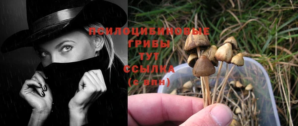 гидропоника Новокубанск
